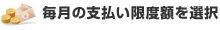 毎月のお支払い額を選択